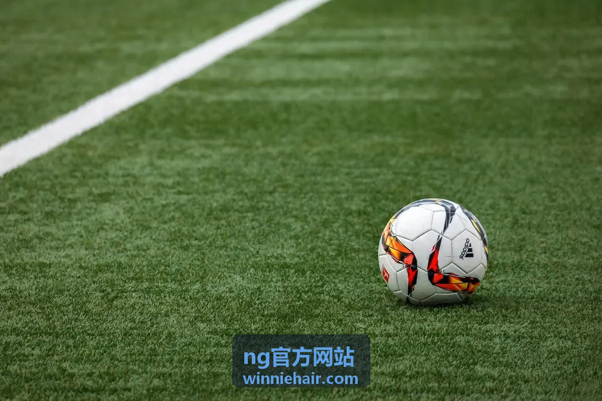 NG官方网站记录的发量稀疏状态参考图