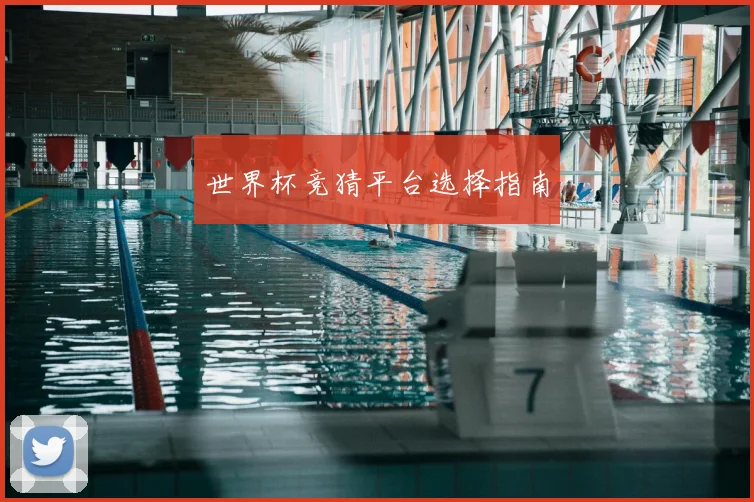 世界杯竞猜平台选择指南
