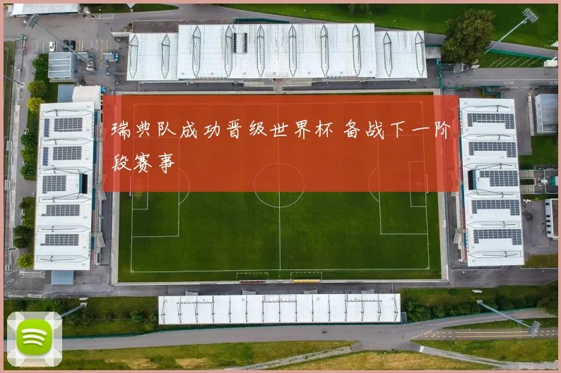 瑞典队成功晋级世界杯 备战下一阶段赛事