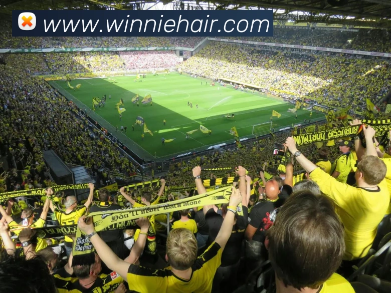 华体hth登录入口APP 封面图